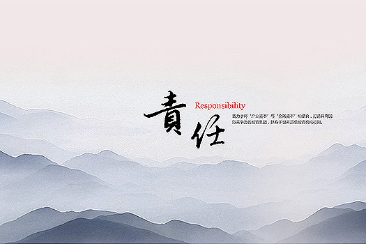 投融資擔保有限公司網站建設案例